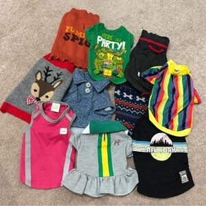 Colorful 10 Piece Pet Clothing Bundle